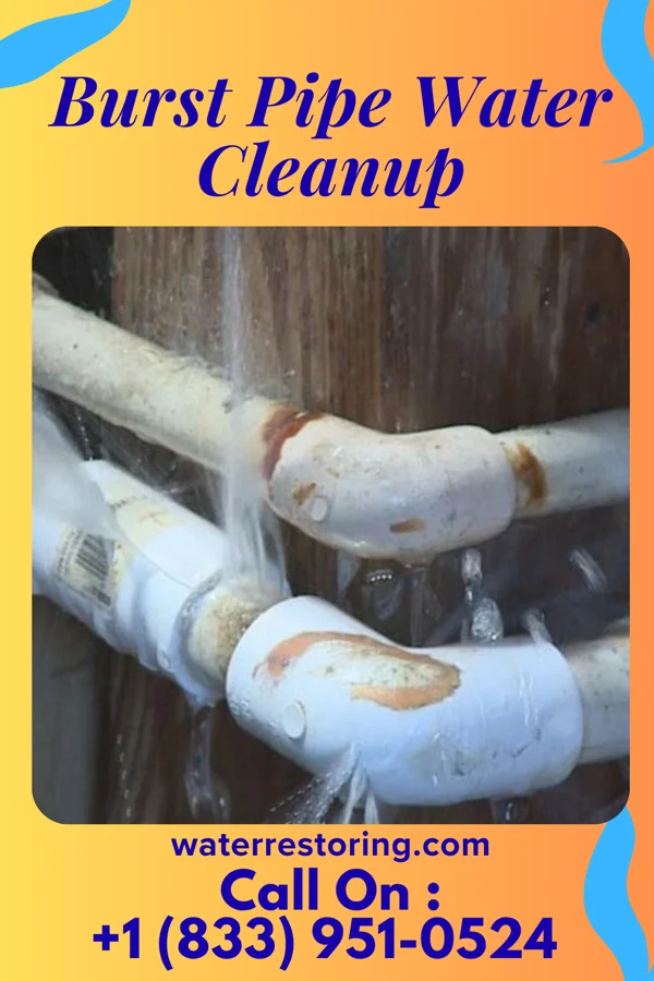 Burst Pipe Water Cleanup in Rote, PA