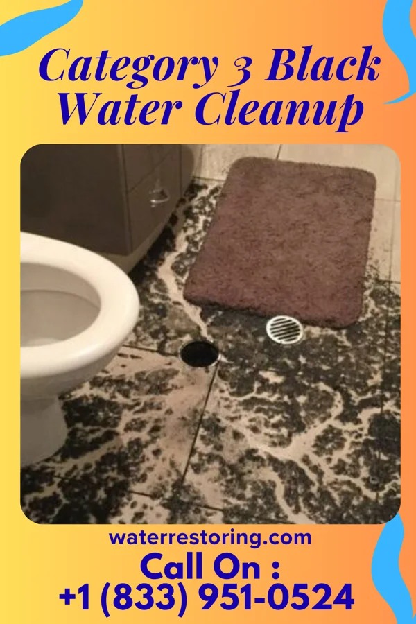 Category 3 Black Water Cleanup in Rote, PA