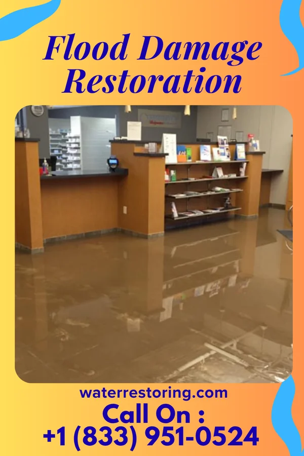 Flood Damage Restoration in Rote, PA
