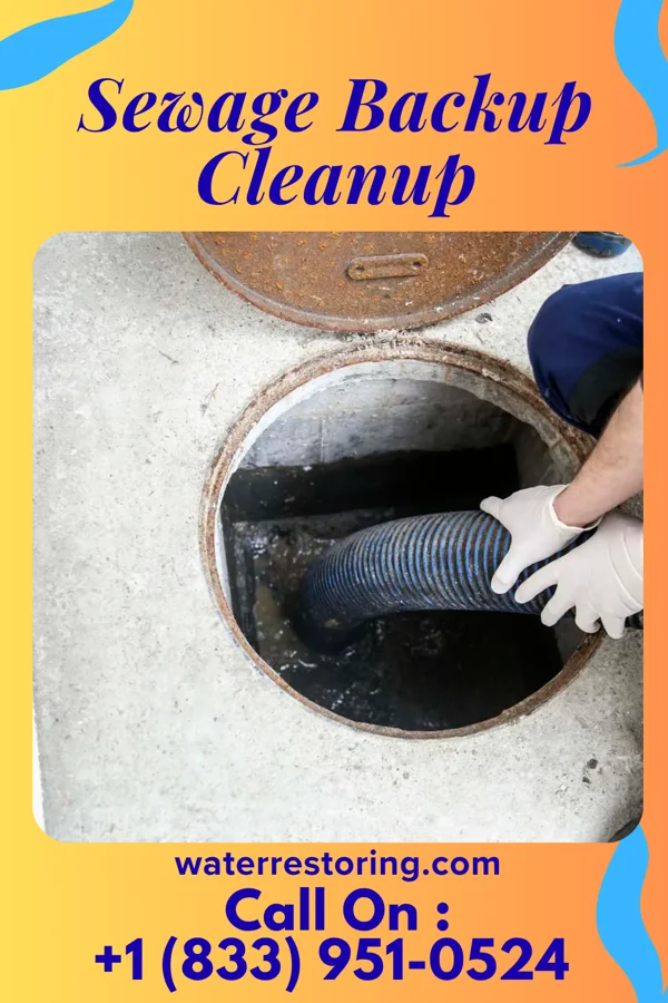 Sewage Backup Cleanup in Rote, PA