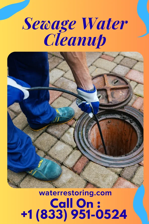Sewage Water Cleanup in Rote, PA
